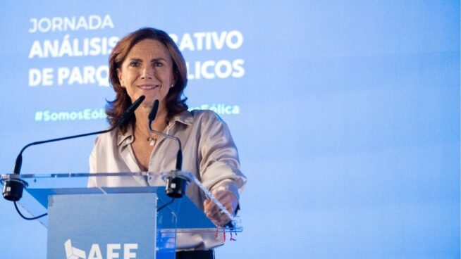 La eólica pide un marco regulatorio con interpretaciones que garanticen inversiones