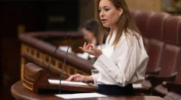 El PP pregunta al Gobierno quiénes han tenido pasaporte diplomático aparte de Koldo