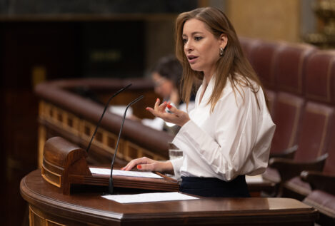 El PP pregunta al Gobierno quiénes han tenido pasaporte diplomático aparte de Koldo