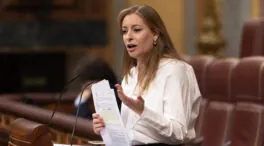 El PP acorrala al Gobierno con las pulseras antimaltrato: 138 peticiones de explicación