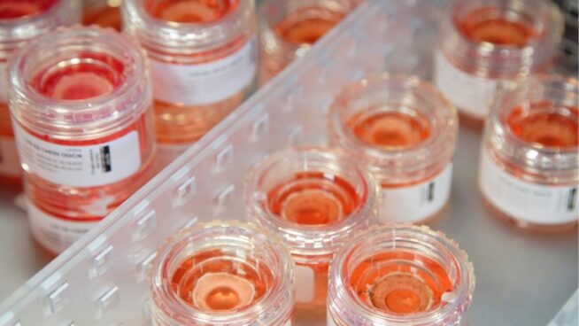 Un estudio revela que una molécula activada por luz podría aliviar el dolor del ojo seco