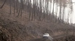 Ingenieros de Montes advierten de que los incendios forestales podrían ser incluso peores