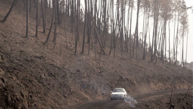 Ingenieros de Montes advierten de que los incendios forestales podrían ser incluso peores