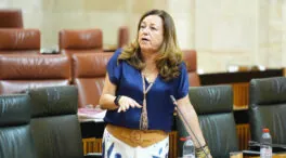 Andalucía defiende los protocolos de acoso escolar: «No es un problema de los centros»