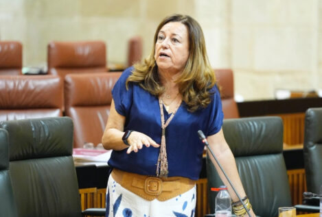 Andalucía defiende los protocolos de acoso escolar: «No es un problema de los centros»