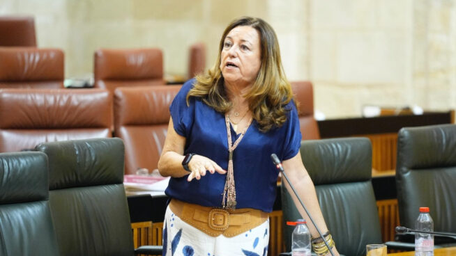 Andalucía defiende los protocolos de acoso escolar: «No es un problema de los centros»