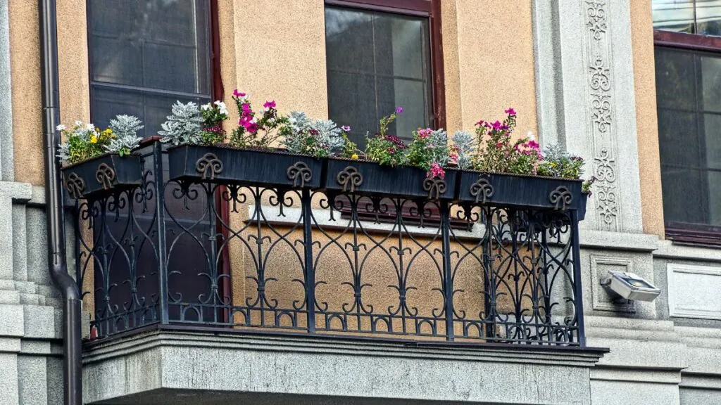 Flores. Canva