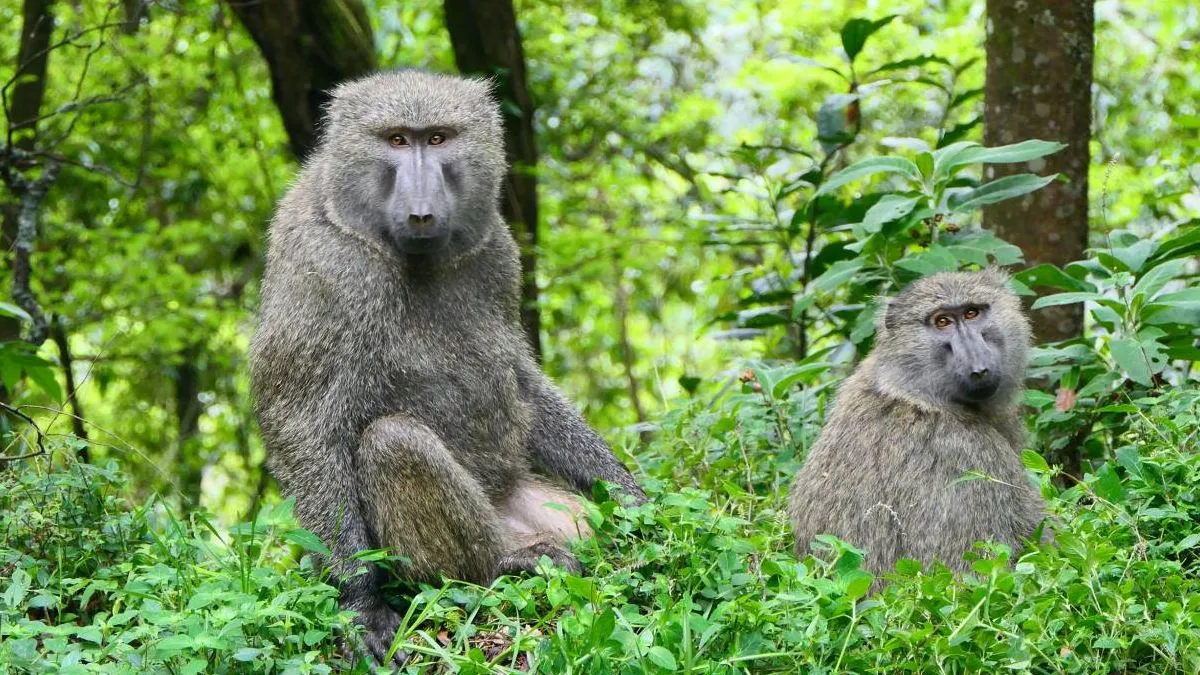 Por qué las mujeres viven más que los hombres: un enigma con raíces evolutivas