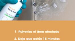 Los mejores sprays antimoho: elimina moho, musgo y hongos en segundos, dentro y fuera de casa