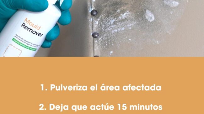 Los mejores sprays antimoho: elimina moho, musgo y hongos en segundos, dentro y fuera de casa