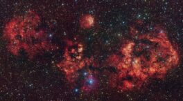 Una nebulosa con forma de murciélago revela una activa región de formación estelar