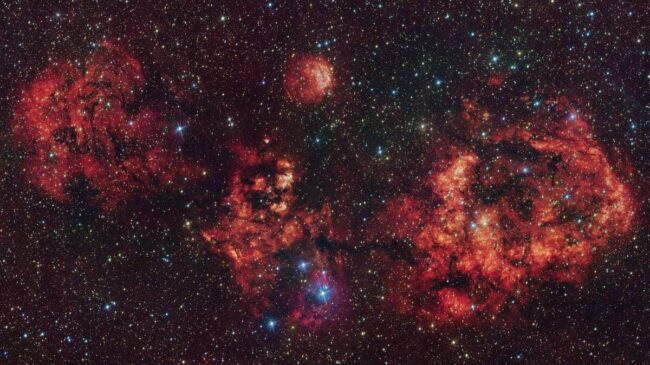 Una nebulosa con forma de murciélago revela una activa región de formación estelar