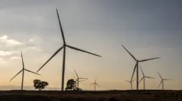 España tendrá que pagar 262 millones a Eiser por la retirada de ayudas a las renovables