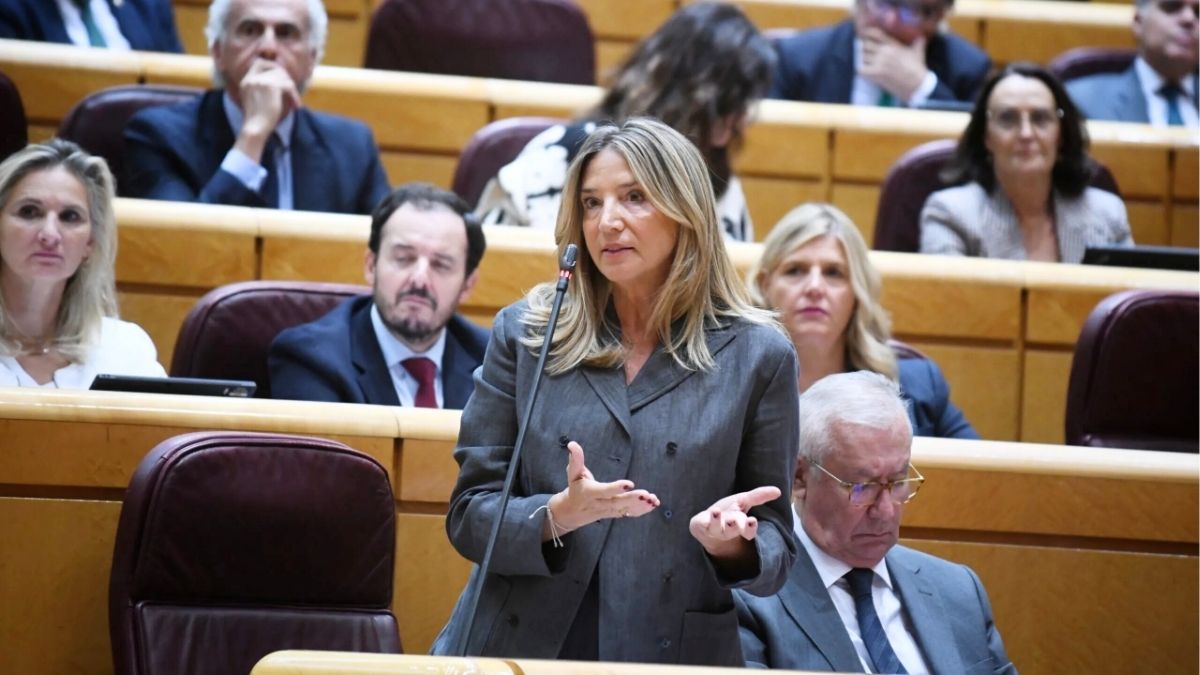 El PP cita a Carmen Pano, que dijo llevar 90.000 euros a Ferraz, en la comisión Koldo del Senado
