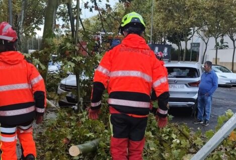 Bomberos de Huelva atienden incidencias por lluvias y por un pequeño tornado en Gibraleón