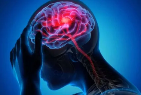 ¿Existen los cerebros de izquierdas y de derechas? La nueva era de la «neuropolítica»