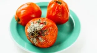 Pía Organiza desvela cómo quitar el moho de los tomates cherry en segundos