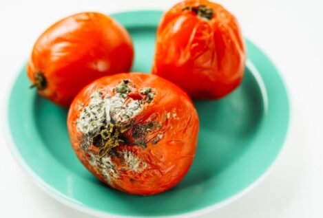 Pía Organiza desvela cómo quitar el moho de los tomates cherry en segundos