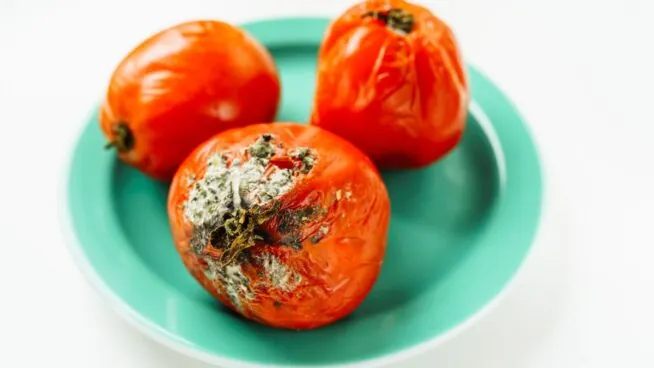 Pía Organiza desvela cómo quitar el moho de los tomates cherry en segundos