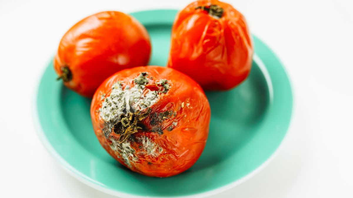 Pía Organiza desvela cómo quitar el moho de los tomates cherry en segundos