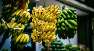 Cada vez que compro plátanos, los guardo en este bote y se mantienen amarillos hasta 15 días