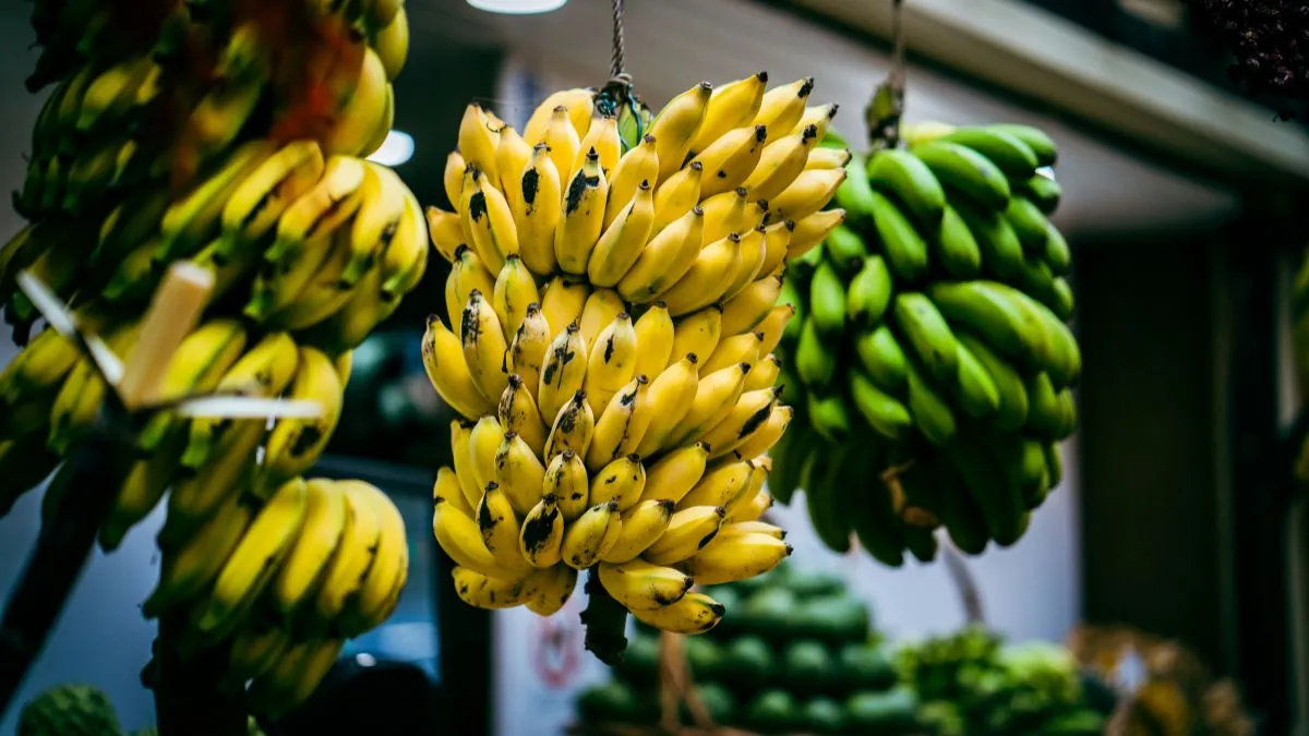 Cada vez que compro plátanos, los guardo en este bote y se mantienen amarillos hasta 15 días