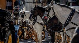 Málaga dice adiós a los coches de caballos... y los animalistas piden seguir el ejemplo