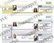 Ábalos se ahorró 18.000 euros de la pensión de un hijo con los pagos de un empresario a Koldo