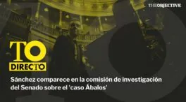 Directo | Así ha sido la comparecencia de Sánchez en la comisión del Senado sobre el 'caso Ábalos'