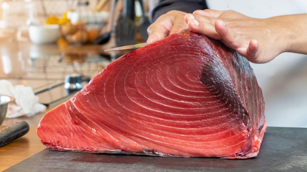 Por qué las empresas catalanas están criando el atún rojo en las costas vascas