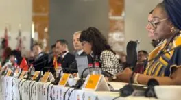 El Gobierno acusa a Argentina de «bloquear avances» en igualdad en una reunión del G-20