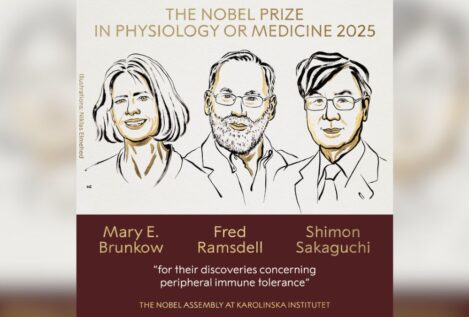 El Nobel de Medicina premia los avances sobre la tolerancia inmunitaria periférica