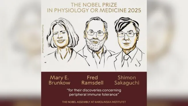 El Nobel de Medicina premia los avances sobre la tolerancia inmunitaria periférica