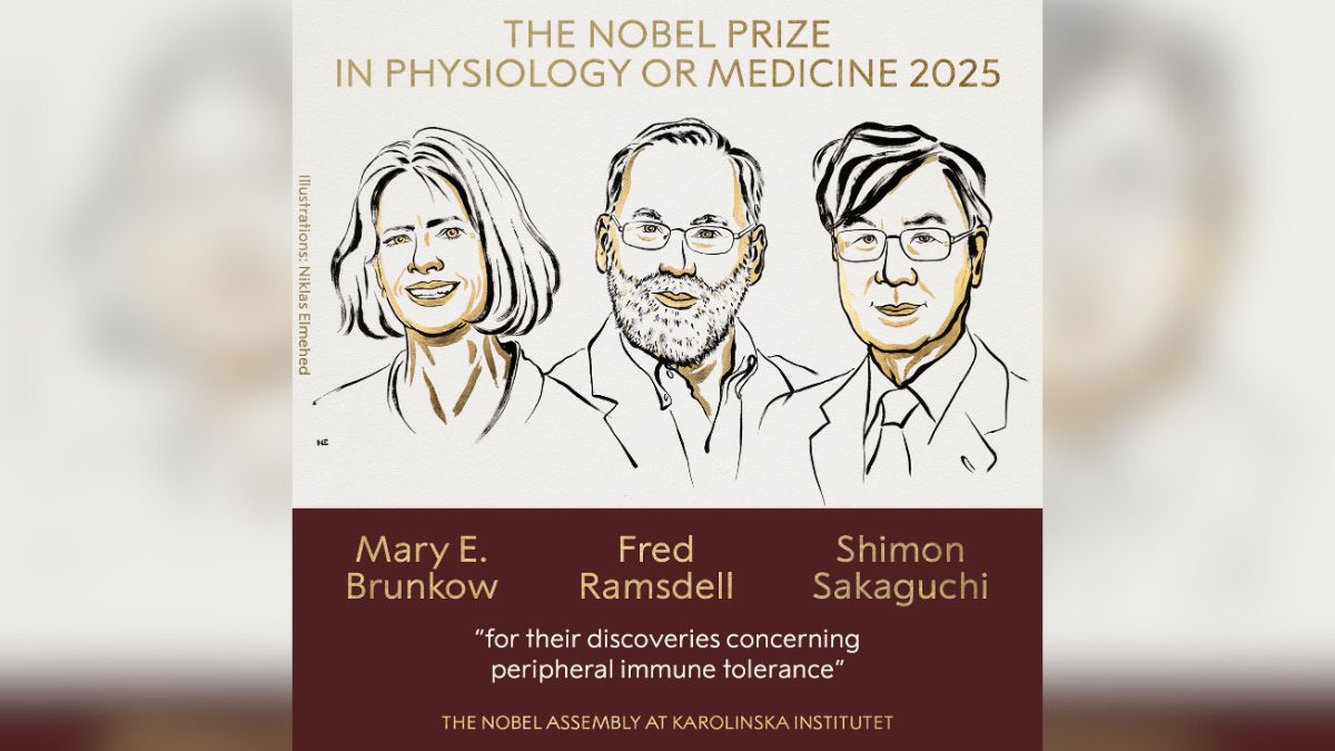 El Nobel de Medicina premia los avances sobre la tolerancia inmunitaria periférica