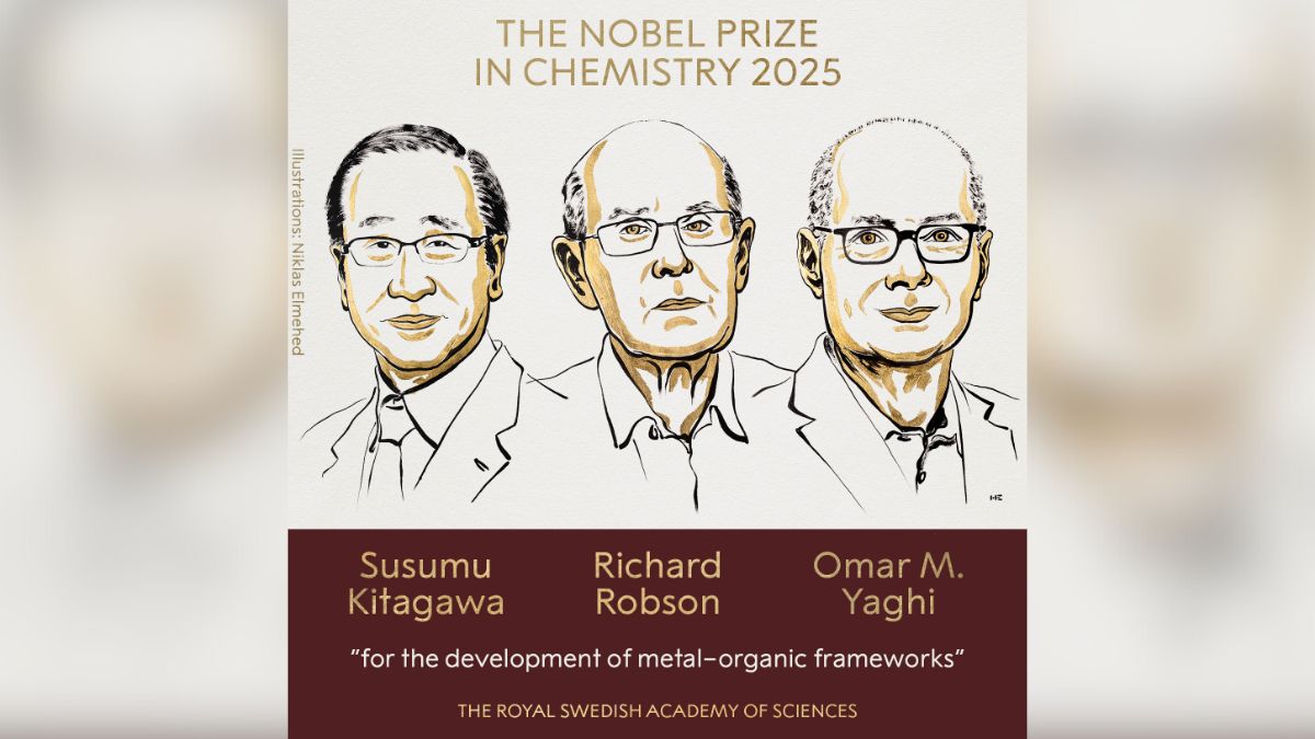 Premio Nobel de Química al desarrollo de estructuras metalorgánicas