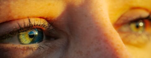 Nuestros ojos saben lo que hicimos el último verano