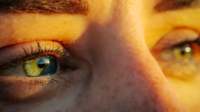Nuestros ojos saben lo que hicimos el último verano