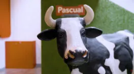 La Fuerza invisible de Pascual