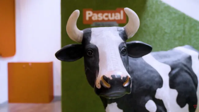 La fuerza invisible de Pascual: la revolución sostenible que nació en Aranda de Duero