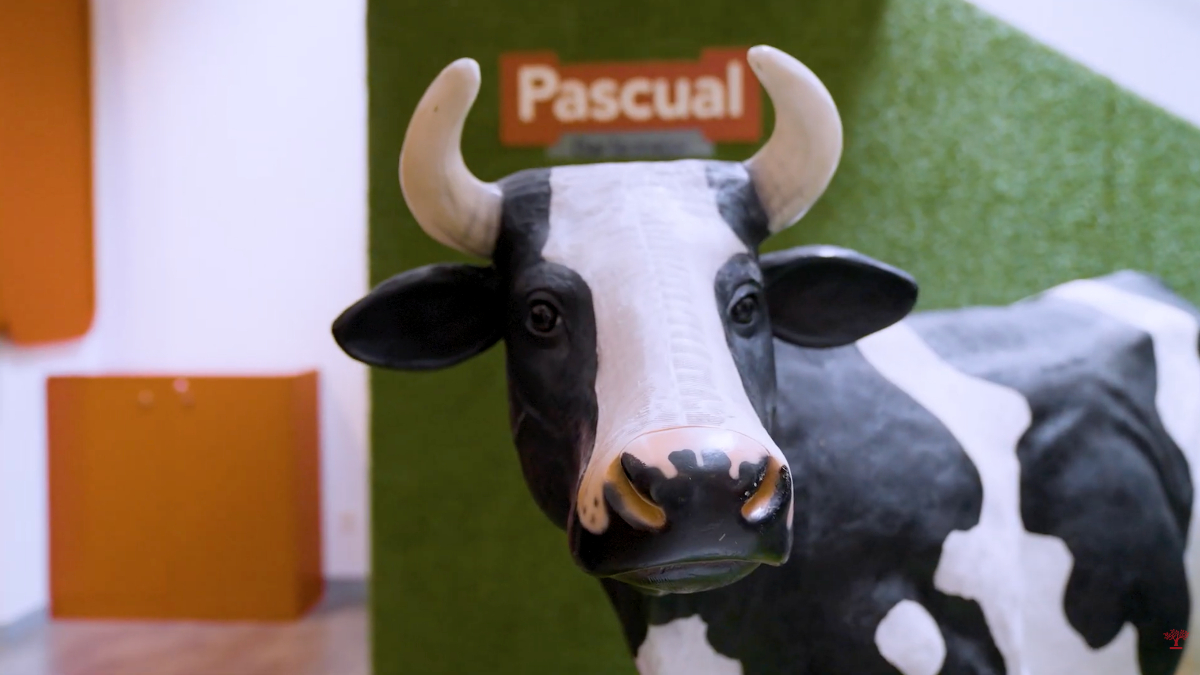 La Fuerza invisible de Pascual