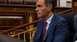 El PSOE cree que Sánchez convocará comicios «en meses» si Vox se consolida en el 20%