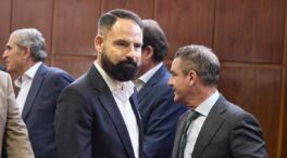 El Senado interrogará a dos exgerentes del PSOE, uno de ellos testigo en el 'caso Koldo'