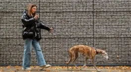 No solo te afecta a ti: cómo debes proteger a tus mascotas de la contaminación