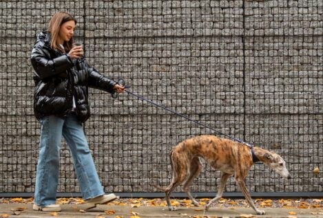 No solo te afecta a ti: cómo debes proteger a tus mascotas de la contaminación