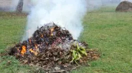 Así puedes pedir permiso para quemar restos de poda en Galicia este otoño