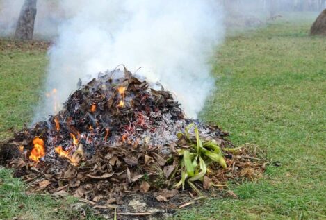 Así puedes pedir permiso para quemar restos de poda en Galicia este otoño