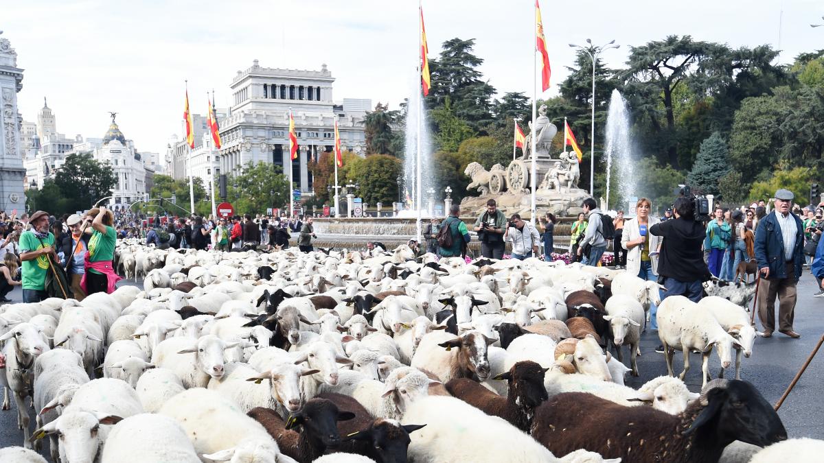 La tradición vuelve a tomar las calles de Madrid en la 32ª Fiesta de la Trashumancia