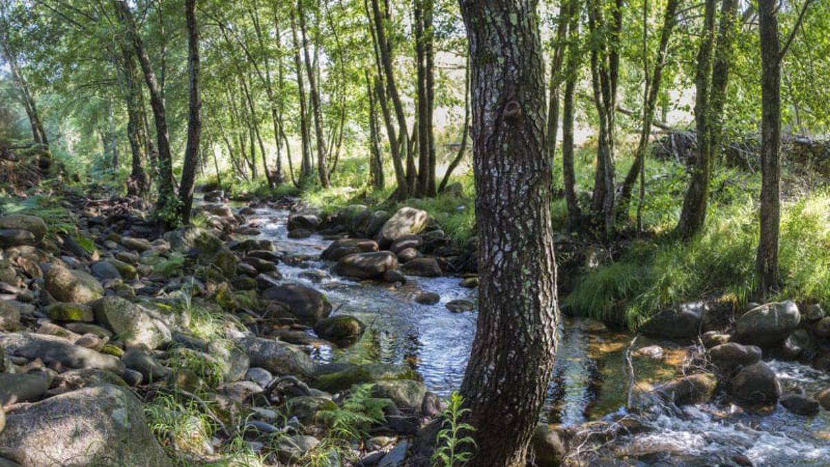 Cuatro rutas de otoño por Sierra de Gata y los mejores lugares para recoger setas