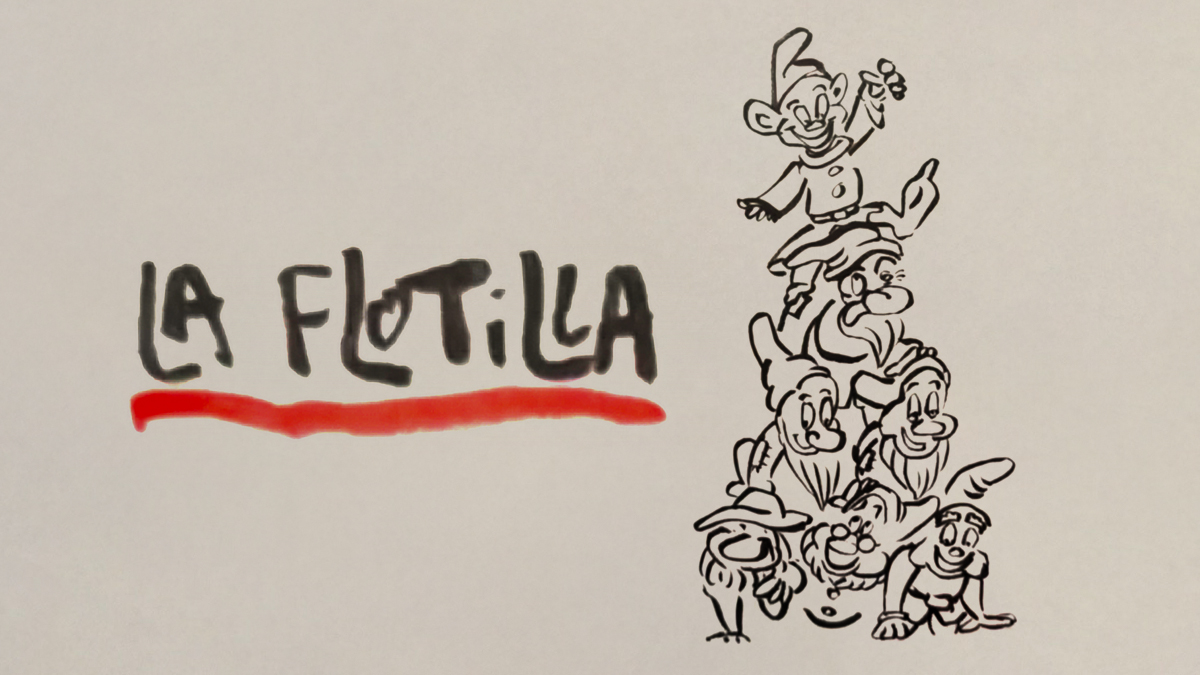 La viñeta sobre… la flotilla