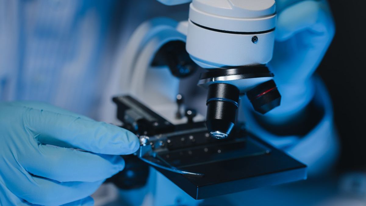 El estudio de IVI RMA Research gana el premio al Mejor Trabajo en el Congreso ASRM 2025 junto a Juno Genetics